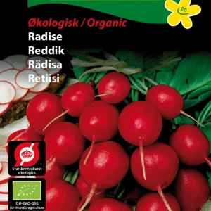 ØKO, Radise, Cherry Belle (D) 1912