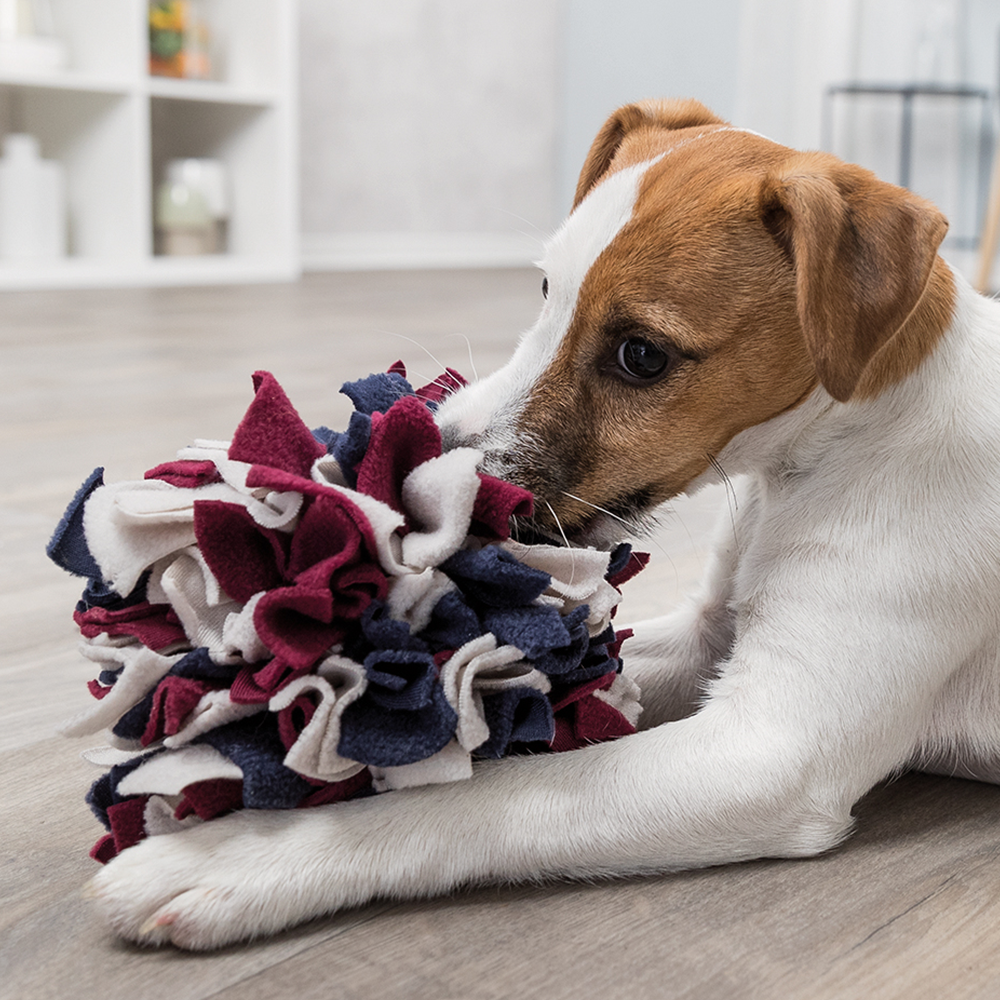 Dog Activity Snusebold - Billede 3